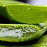 Aloe vera: beneficios que aportan a tu piel