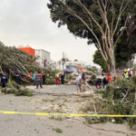 Fuertes vientos derriban una decena de árboles y un techo en la capital de Oaxaca